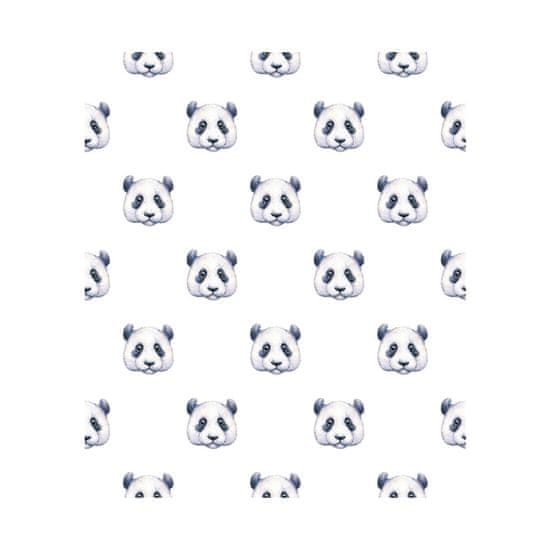 COLORAY.CZ Fototapeta Medvídek panda Fototapeta Vliesová