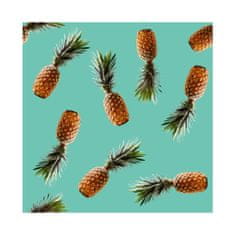 COLORAY.CZ Fototapeta Ananas z naší třídy Fototapeta Vliesová 250 x 250 cm