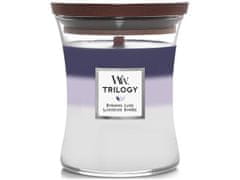 Woodwick Trilogy střední svíčka Evening Luxe 275 g