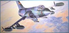 INTEREST Hasegawa 1/32 ST11 F-104G/S World Starfighter.