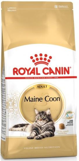 Breed Feline Maine Coon  10kg