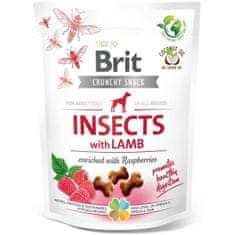 Brit Care Dog Crunchy Cracker Insect with Lamb enriched with Raspberries 200 g