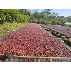 Káva ETIOPIE GUJI SHAKISO Gr. 1 - Hmotnost: 500g, Typ kávy: Hrubé mletí - frenchpress, filtrovaná káva, Způsob balení: běžný třívrstvý sáček