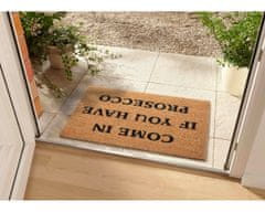 Hanse Home Rohožka Come in if you have prosecco 105660 - na ven i na doma 45x75