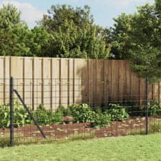 Greatstore Drátěný plot antracitový 0,8 x 25 m pozinkovaná ocel