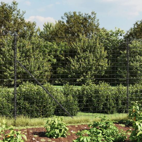 Greatstore Drátěný plot antracitový 1,6 x 25 m pozinkovaná ocel