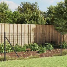 Greatstore Drátěný plot antracitový 0,8 x 25 m pozinkovaná ocel