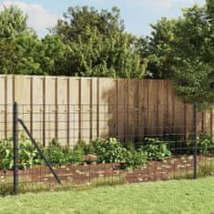 Greatstore Drátěný plot antracitový 0,8 x 10 m pozinkovaná ocel
