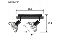 ActiveJet Stropní svítidlo AJE-HOLLY 2P