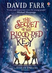 Usborne The Secret of the Blood-Red Key