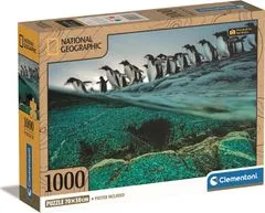 Clementoni Puzzle National Geographic: Tučňáci gentoo se hromadně vrhají do moře 1000 dílků