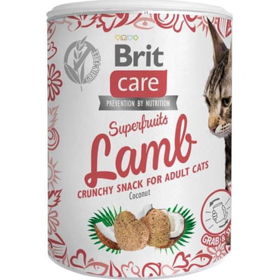 Brit Care Cat Snack Superfruits Lamb 100 g