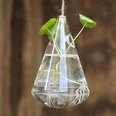 Northix Závěsná skleněná váza na řízky 