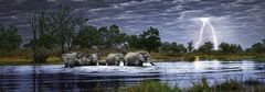 Heye Panoramatické puzzle Sloní stádo (Botswana) 2000 dílků