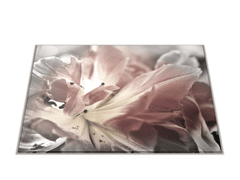 Glasdekor Skleněné prkénko abstraktní šedý tulipán - Prkénko: 30x20cm