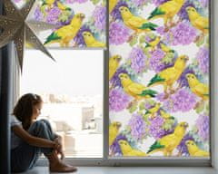 COLORAY.CZ Vnitřní roleta do okna Žluté papoušci Rolet propuštění světla 110x180 cm