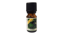 AromaArt Vonný olej Fonix Cubeba