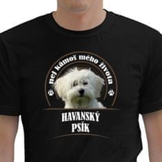 STRIKER Pánské tričko Havanský psík Barva: Černá, Velikost: S