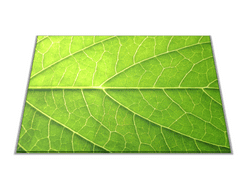 Glasdekor Skleněné prkénko detail zelený list - Prkénko: 30x20cm