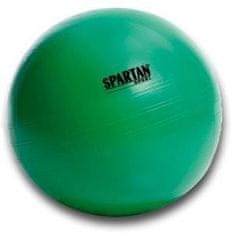 Gymnastický míč SPARTAN 65 cm