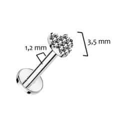 SPERKY4U Piercing do brady - labreta TITAN, 1,2 x 8 mm