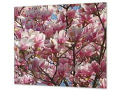 Glasdekor Ochranná deska květy magnolie - Ochranná deska: 70x70cm, Lepení na zeď: S lepením na zeď