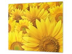 Glasdekor Ochranná deska žluté květy slunečnice - Ochranná deska: 55x55cm, Lepení na zeď: S lepením na zeď