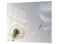 Glasdekor Ochranná deska chmýří pampelišky - Ochranná deska: 65x90cm, Lepení na zeď: Bez lepení na zeď