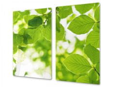 Glasdekor Ochranná deska zelené listí buku - Ochranná deska: 40x40cm, Lepení na zeď: S lepením na zeď