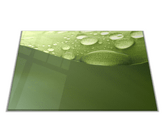 Glasdekor Skleněné prkénko abstraktní list s rosou - Prkénko: 30x20cm