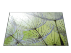 Glasdekor Skleněné prkénko bílé chmýří zelené pozadí - Prkénko: 40x30cm
