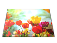 Glasdekor Skleněné prkénko barevné tulipány - Prkénko: 40x30cm