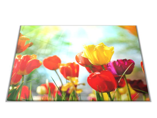 Glasdekor Skleněné prkénko barevné tulipány