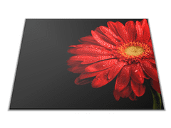 Glasdekor Skleněné prkénko červený květ gerbery - Prkénko: 30x20cm
