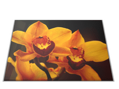 Glasdekor Skleněné prkénko květy sytě žluté orchideje - Prkénko: 30x20cm