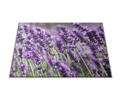 Glasdekor Skleněné prkénko louka květy levandule - Prkénko: 30x20cm
