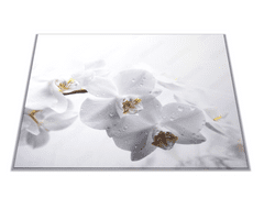 Glasdekor Skleněné prkénko květy bílá orchidej - Prkénko: 30x20cm