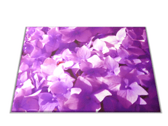 Glasdekor Skleněné prkénko květy fialový šeřík - Prkénko: 30x20cm