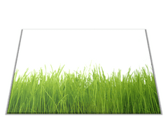 Glasdekor Skleněné prkénko jarní tráva bílé pozadí - Prkénko: 30x20cm
