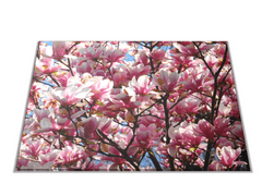 Glasdekor Skleněné prkénko květy magnolie - Prkénko: 30x20cm