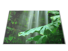 Glasdekor Skleněné prkénko list deštný prales - Prkénko: 30x20cm