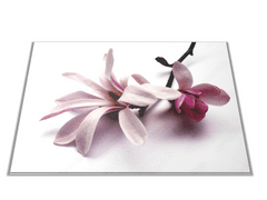 Glasdekor Skleněné prkénko květ magnolie - Prkénko: 40x30cm