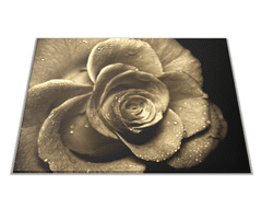 Glasdekor Skleněné prkénko květy růže s rosou - Prkénko: 30x20cm