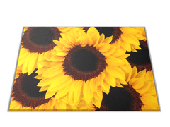Glasdekor Skleněné prkénko květy slunečnice - Prkénko: 30x20cm