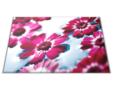 Glasdekor Skleněné prkénko plovoucí květiny - Prkénko: 30x20cm