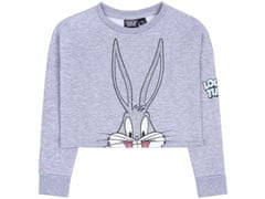 sarcia.eu Šedá, krátká mikina s kamínky od Bugs Bunny 9-10 let 140 cm