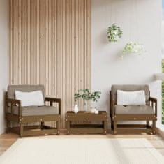 Greatstore Zahradní židle s poduškami 2 ks medově hnědé masivní borovice