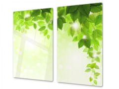 Glasdekor Ochranná deska zelené listí - Ochranná deska: 65x65cm, Lepení na zeď: S lepením na zeď