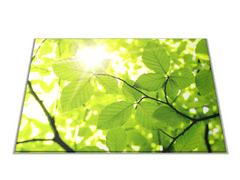 Glasdekor Skleněné prkénko slunce mezi listím - Prkénko: 30x20cm