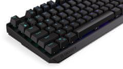 Endorfy Thock TKL Wireless, Kailh Box Black, US (EY5A081)